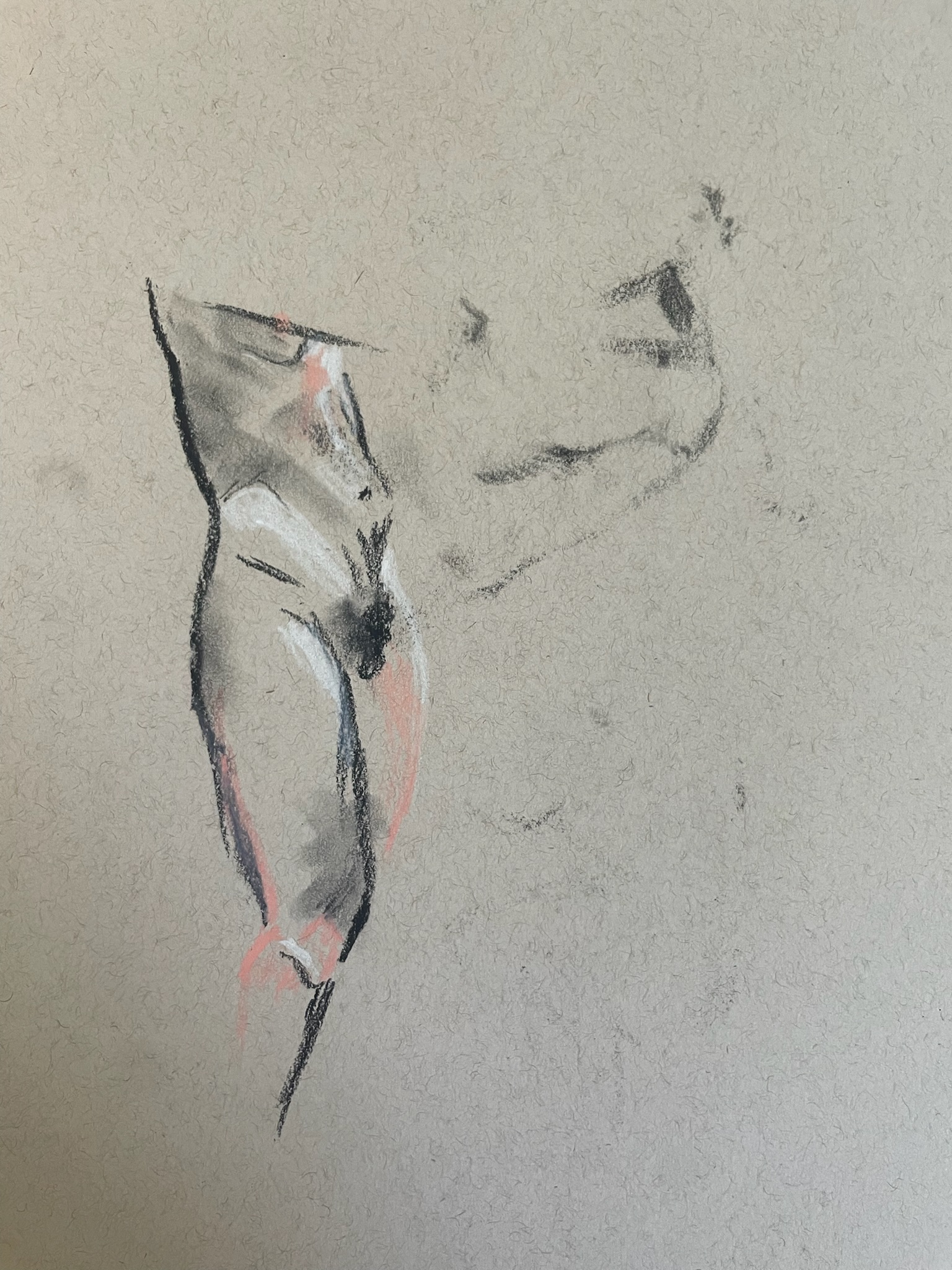 Untitled work